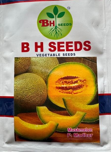 Muskmelon Seeds - Sweet Melon